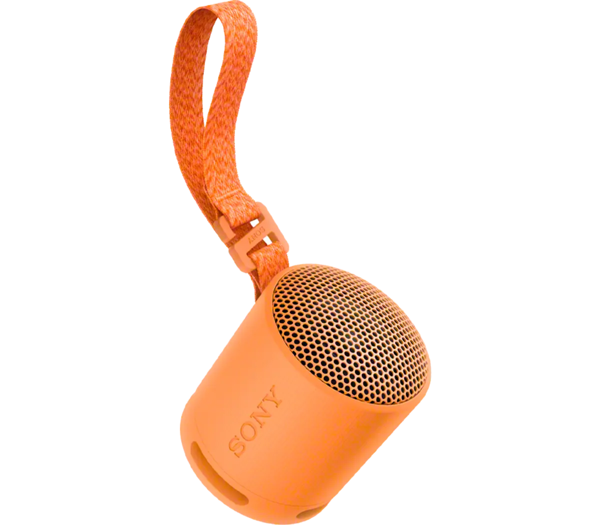 SONY SRS-XB100