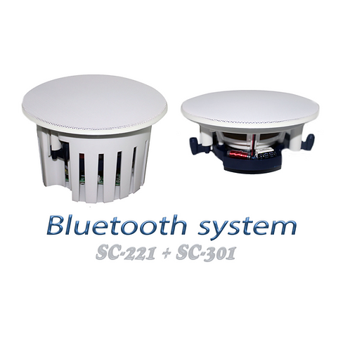Ceiling bluetooth system CSA221+CS301