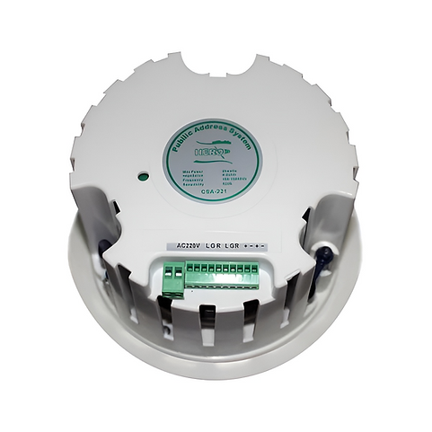 Ceiling bluetooth system CSA221+CS301