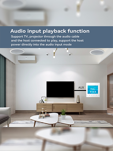 Wall mounted amplifier AL-302